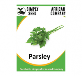 Parsley Italian Leaf Seeds