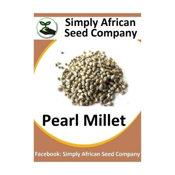Pearl Millet Seeds Simply African Seed Company