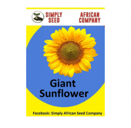 Sunflower Giant Seeds
