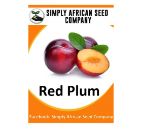 Red Plum Seeds