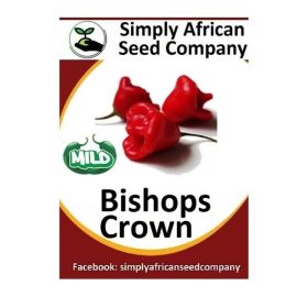 Bishops Crown Seeds