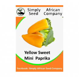 Mini Paprika Yellow Seeds