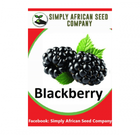 Blackberry Seeds