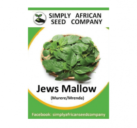 Jews Mallow Seeds