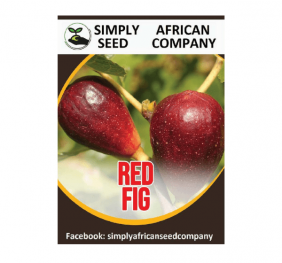 Red Fig Seeds