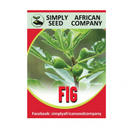 Green Fig Seeds