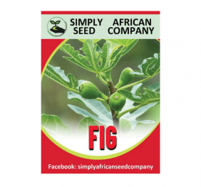 Green Fig Seeds