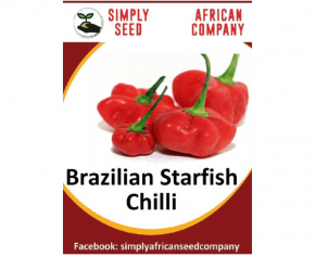Brazillian Starfish Chilli Seeds