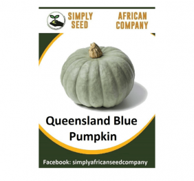 Queensland Blue Pumpkin Seeds