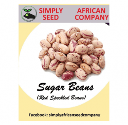 Sugar Bean Seeds