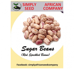 Sugar Bean Seeds