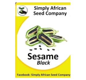 Sesame (Black)