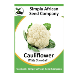 Cauliflower White Snowball 50’s