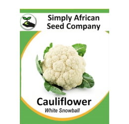 Cauliflower White Snowball 50’s