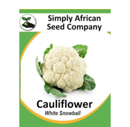 Cauliflower White Snowball 50’s