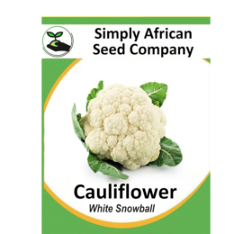 Cauliflower White Snowball 50’s