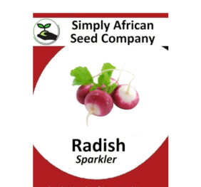 Radish (Sparkler) 30’s