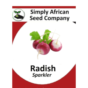 Radish (Sparkler) 30's