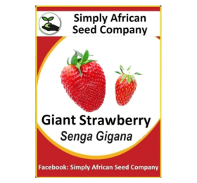 Strawberry Giant Seeds