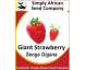 Strawberry Giant Seeds