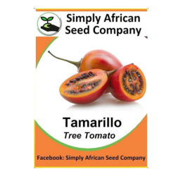 Tamarillo (Tree Tomato) Seeds