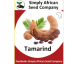 Tamarind (Tamarindus indica L.) 6’s