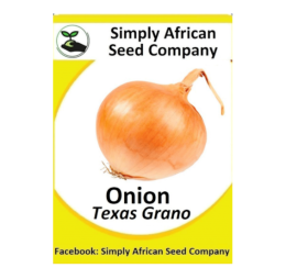 Onion White Texas Grano 50’s
