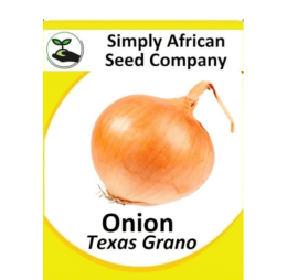 Onion White Texas Grano 50’s
