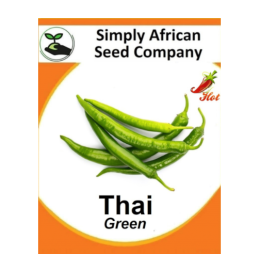 Thai Green Chilli 30’s