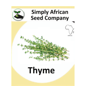 Thyme 50's