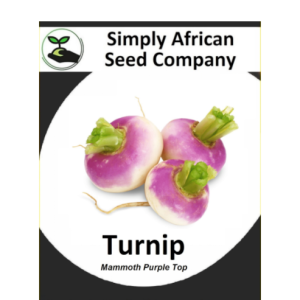 Turnip Mammoth Purple Top 30's