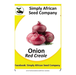 Onion Red Creole Seeds