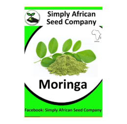 Moringa Tree Seeds