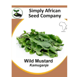 Mustard Wild (Kamuganje) 30’s