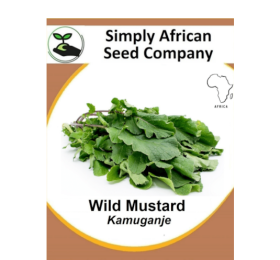 Mustard Wild (Kamuganje) 30’s