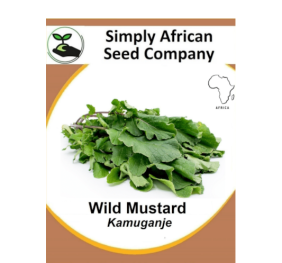 Mustard Wild (Kamuganje) 30’s