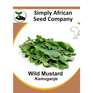 Mustard Wild (Kamuganje) 30's