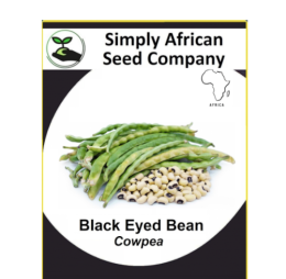 Black Eyed Bean (Cowpea) 15’s
