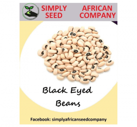 Black Eyed Beans Seeds