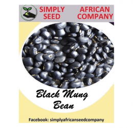 Black Mung Bean Seeds