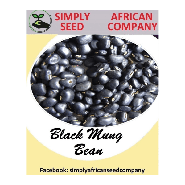 Black Mung Bean Seeds Simply African Seed Company
