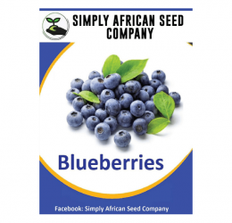 Blueberry Seeds