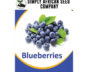 Blueberry Seeds