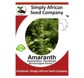 Amaranth,  Amaranthus Thunbergii (Bonongwe/Terere) 100’s
