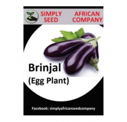 Eggplant (Brinjal) Seeds