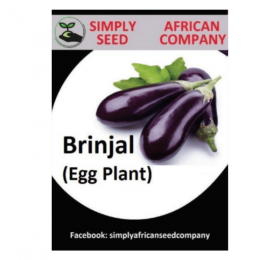 Eggplant (Brinjal) Seeds