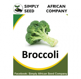 Broccoli, Green Sprouting Calabrese Seeds