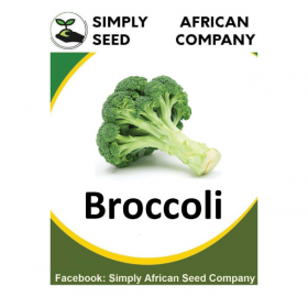 Broccoli, Green Sprouting Calabrese Seeds