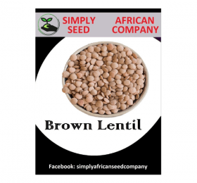 Brown Lentil Seeds