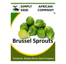Brussel Sprouts Long Island Seeds